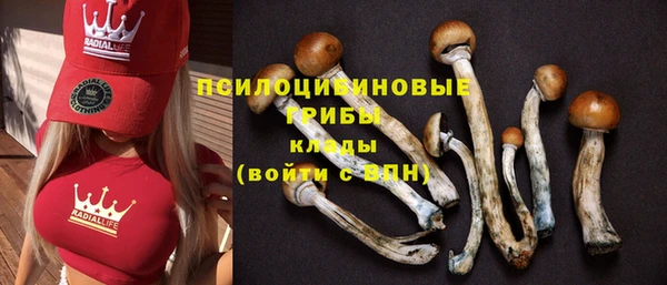 спиды Сосновоборск