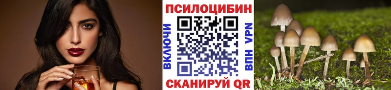 Галлюциногенные грибы мицелий Балтийск
