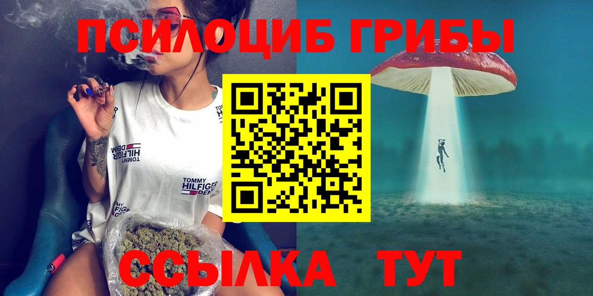 Галлюциногенные грибы Cubensis  Вход с VPN  Балтийск 